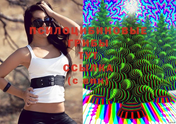 дживик Белоозёрский