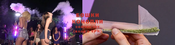 дживик Белоозёрский